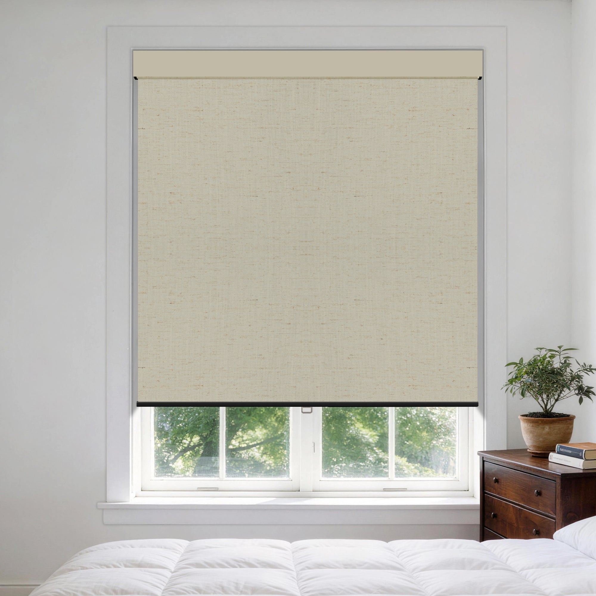 HS0178-B-color-MAL-Silver_Birch