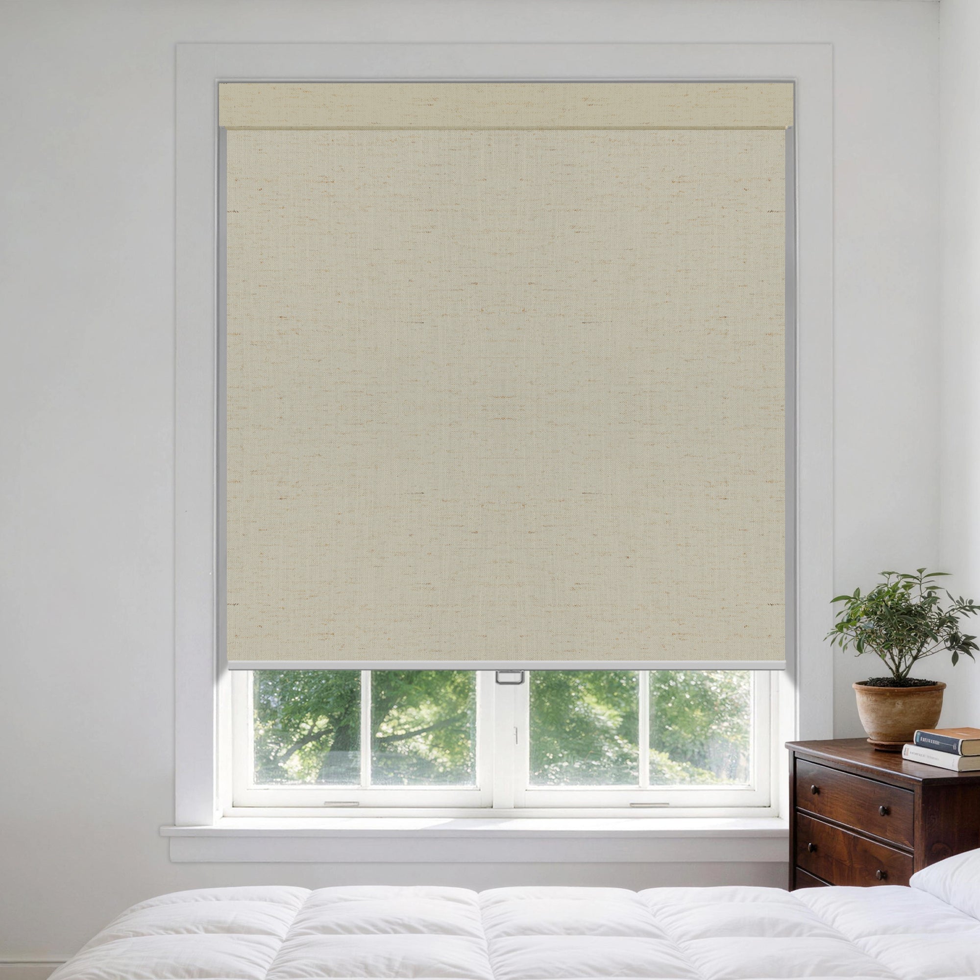 HS0178-B-color-MAL-Silver_Birch