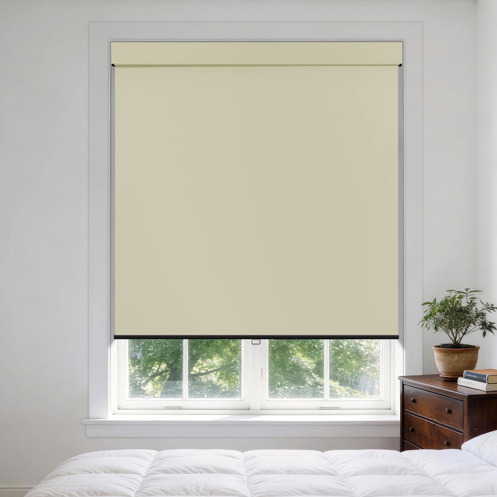 HS0178-B-color-MC-Silver_Birch