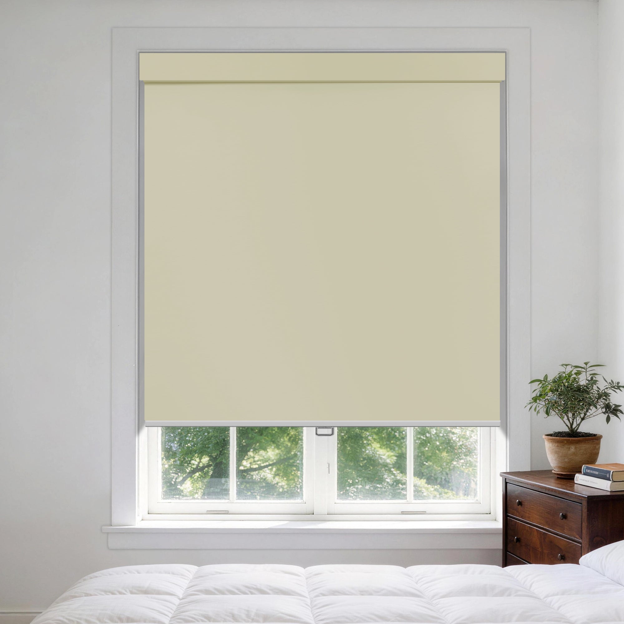 HS0178-B-color-MC-Silver_Birch