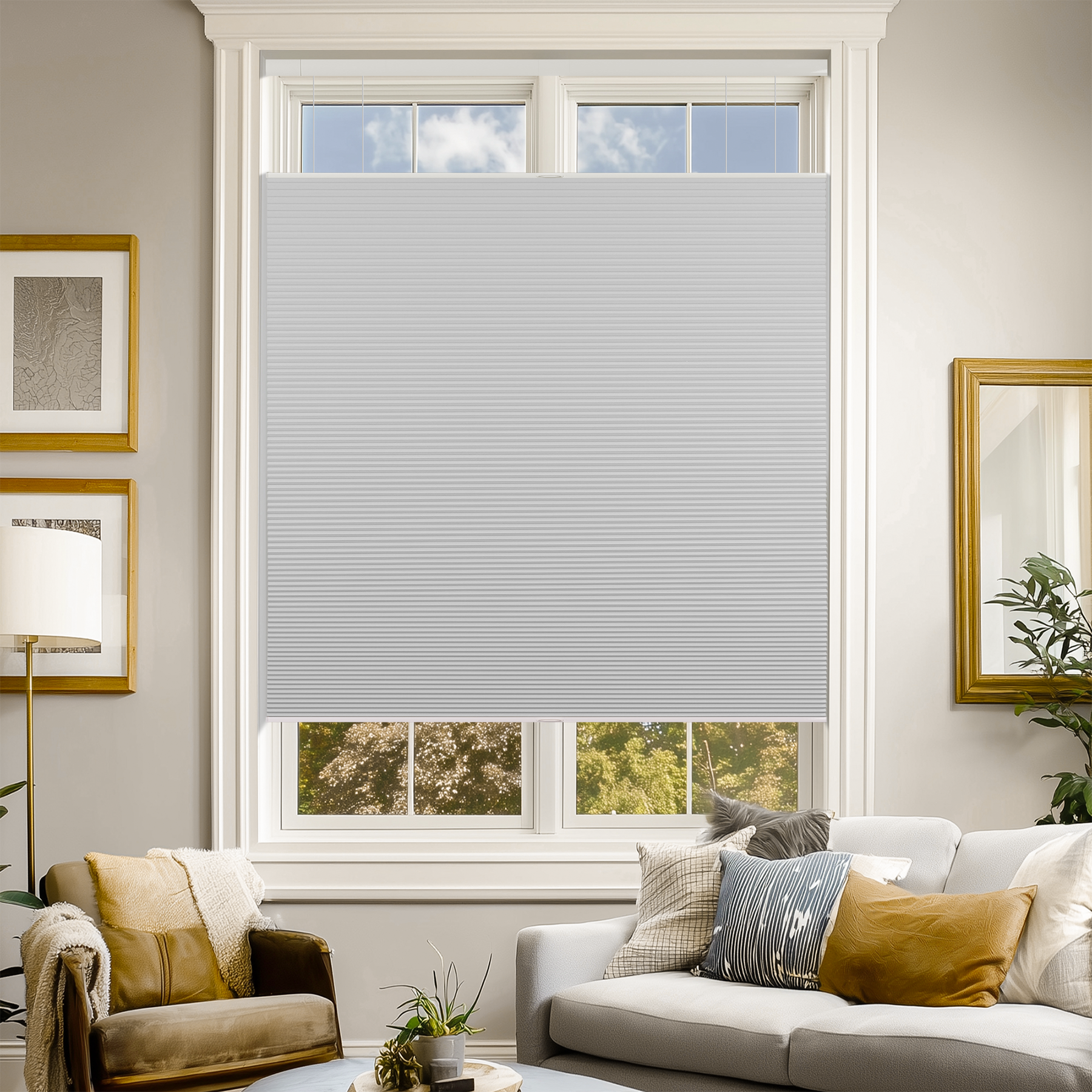 No-Drill Blackout Top Down Bottom Up Cellular Shades