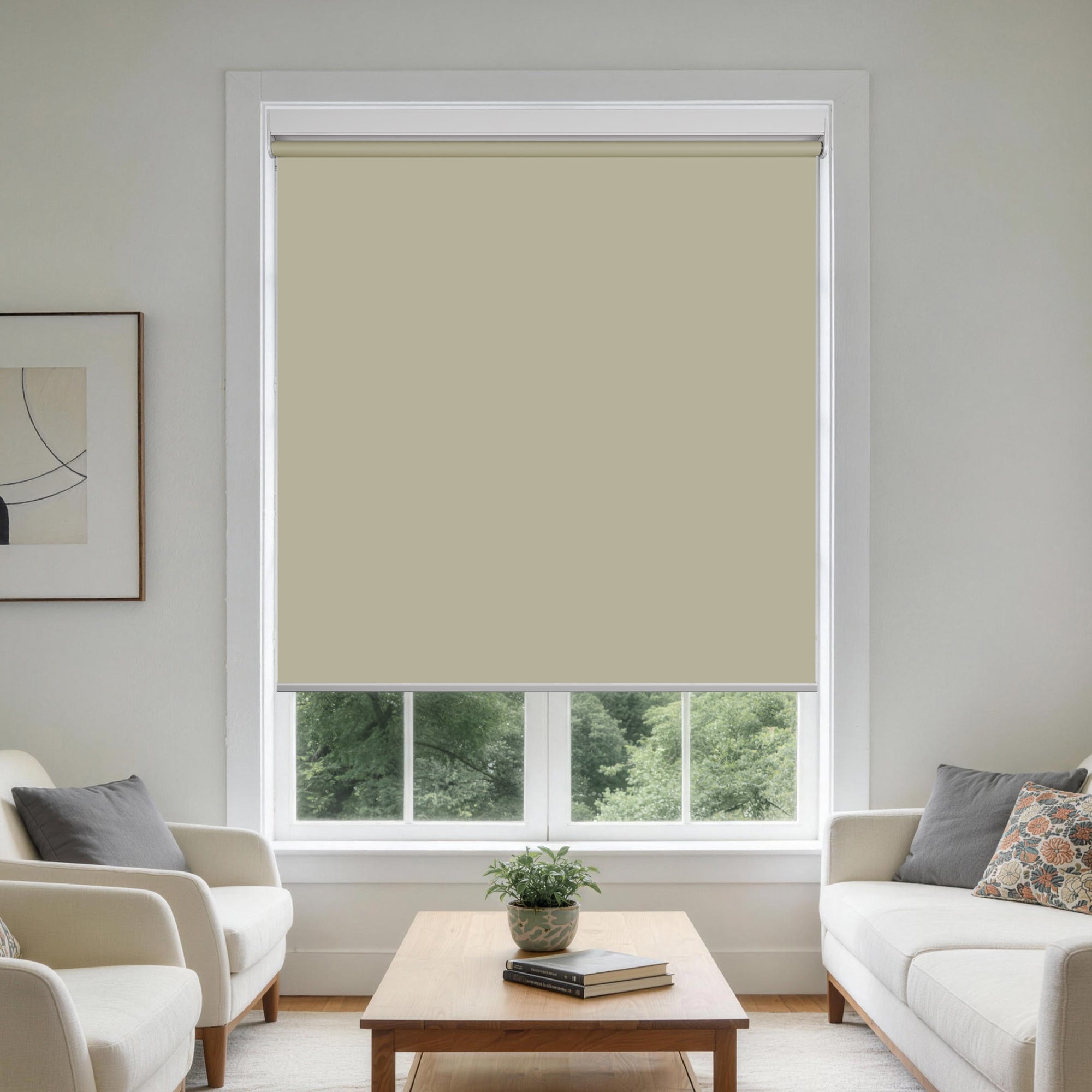 HS0556-MC-Silver_Birch-color