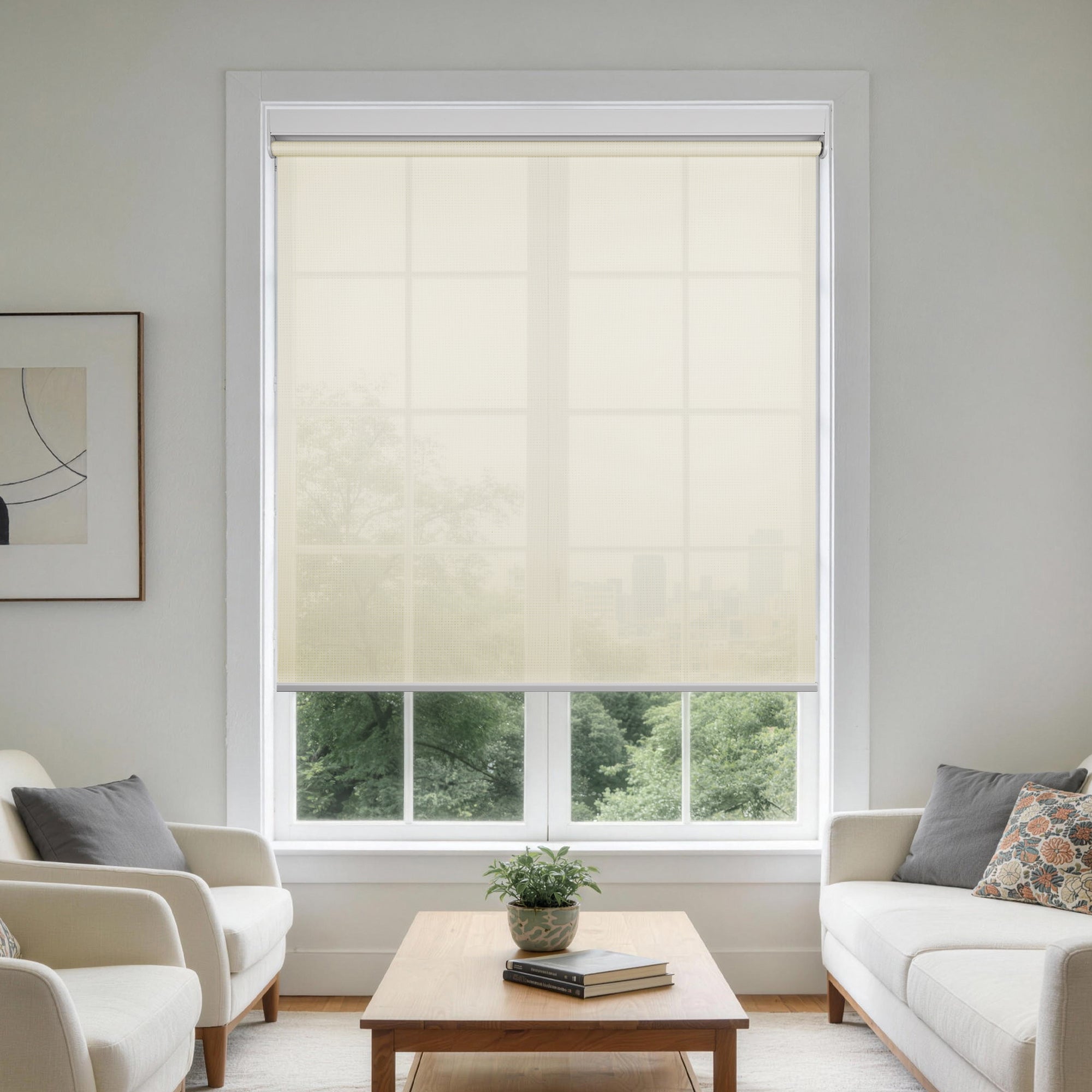 HS0556-WL-Snowfall-color