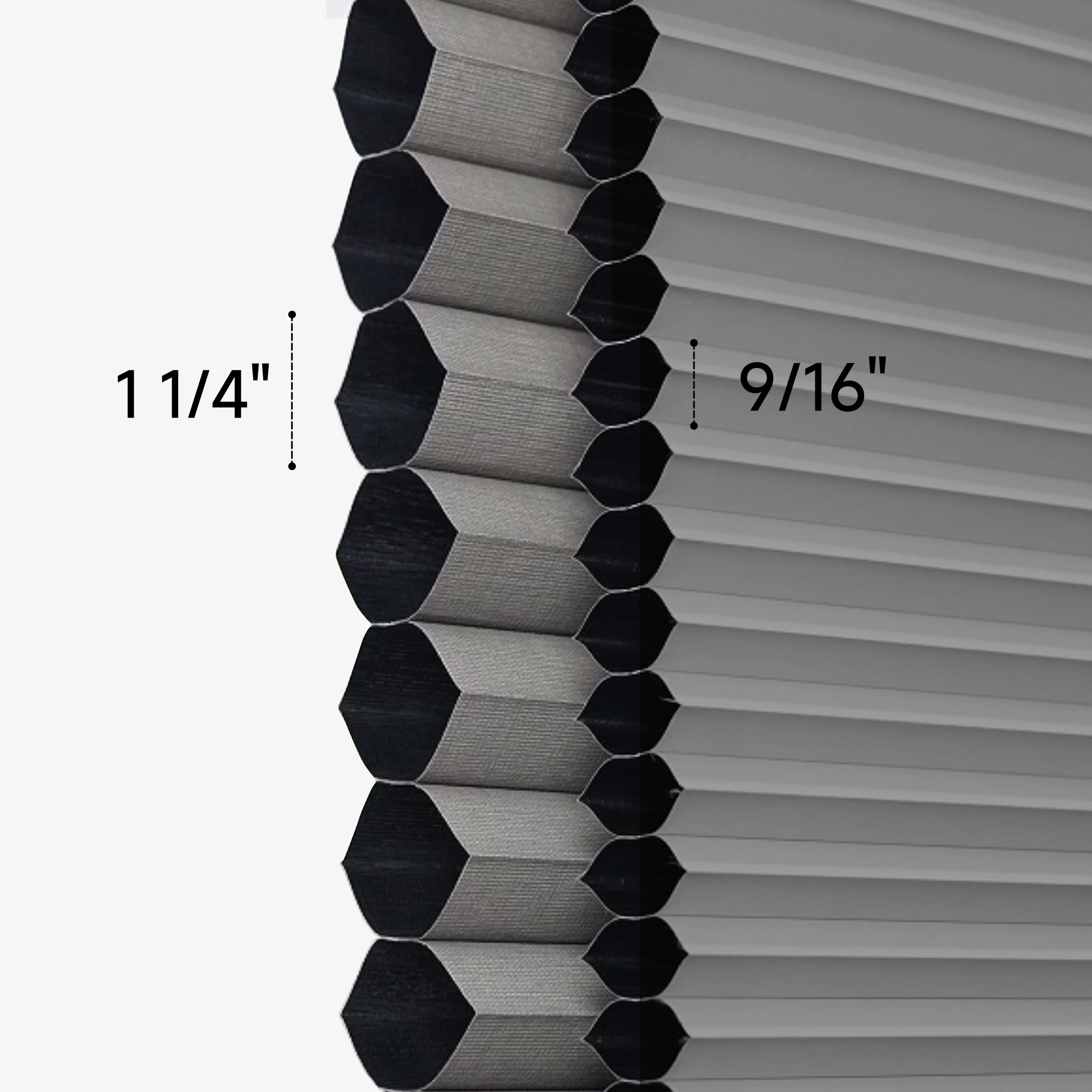 cell size comparison of cellular shades | hestia blinds