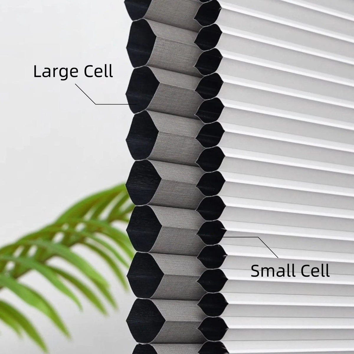 No Drill Large Cell Top Down Bottom Up Cellular Shades