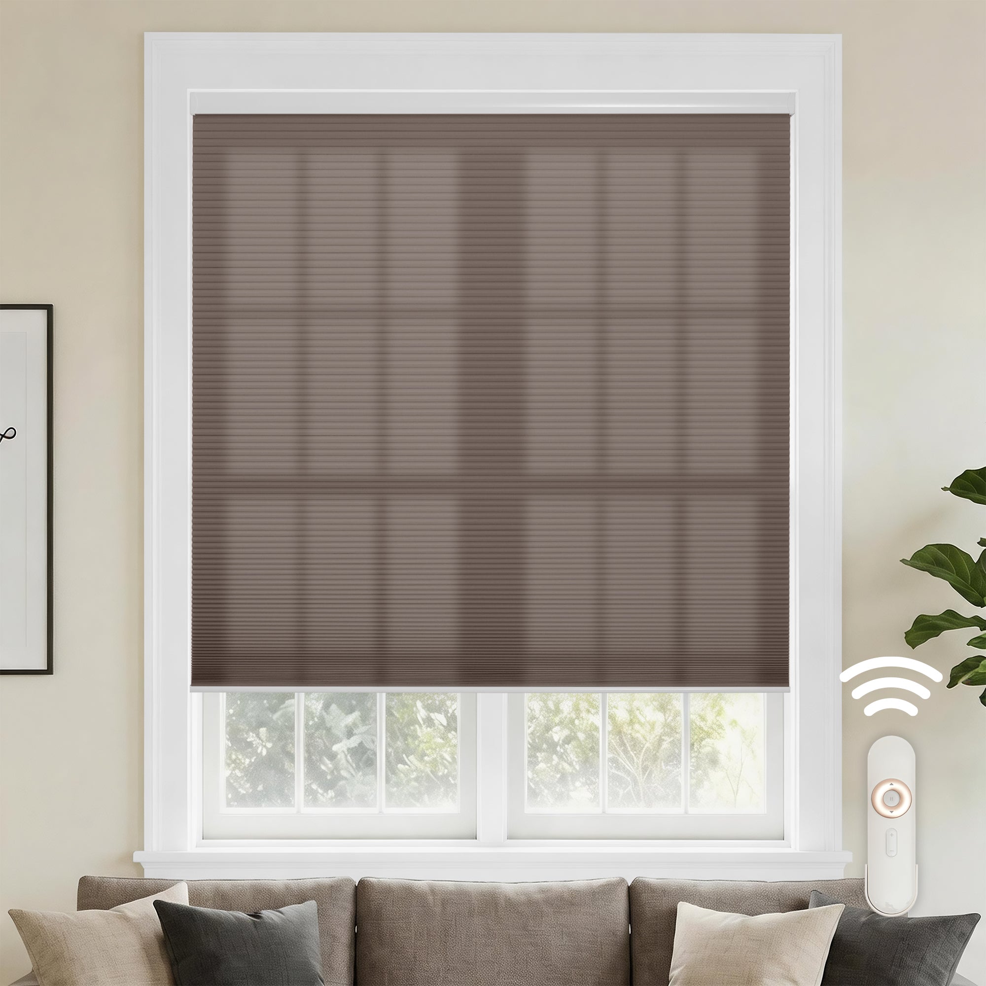 motorized cellular shades-light filtering-color-driftwood