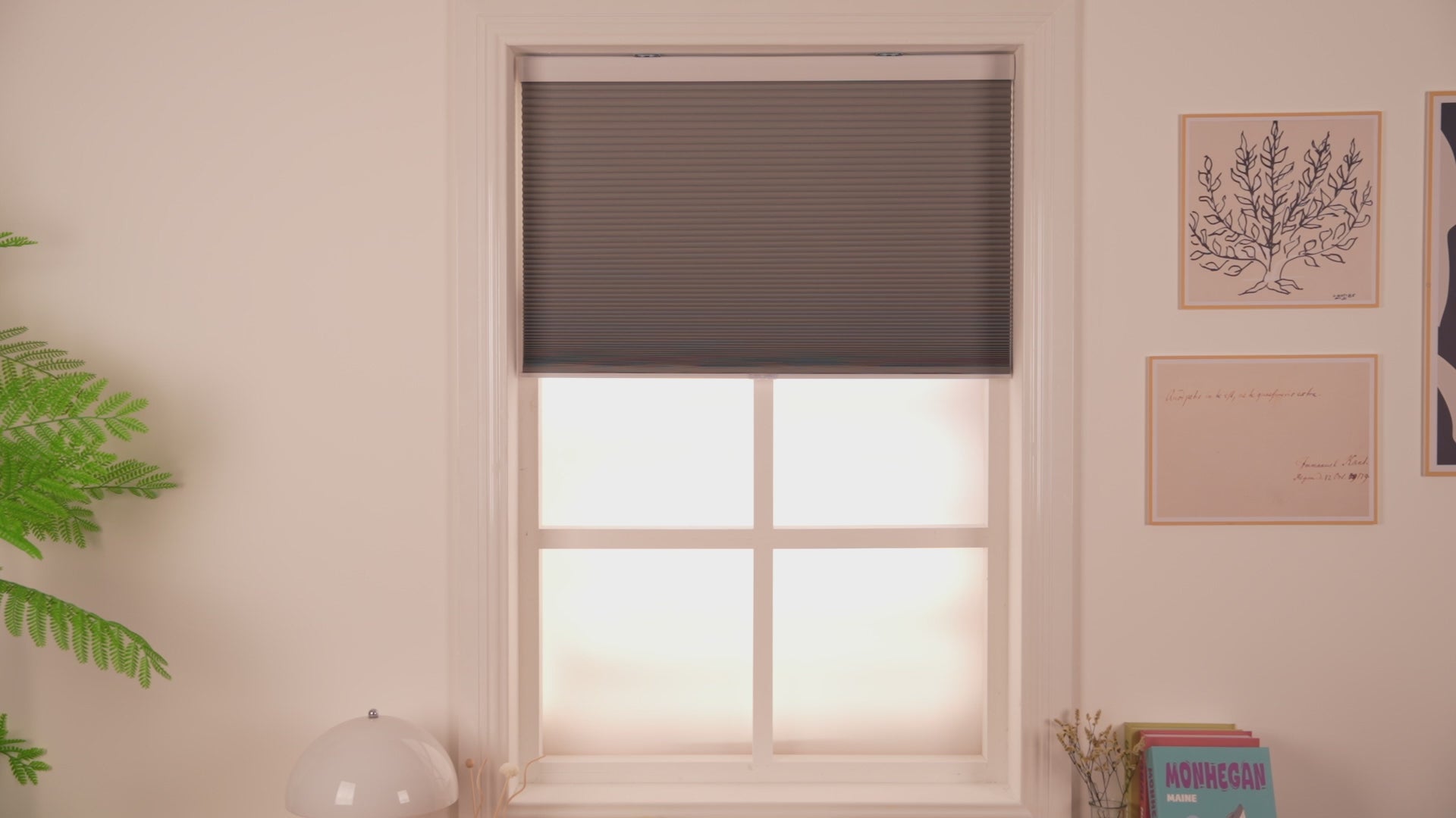 blackout modern minimalist summer cooling cellular shades in a living room