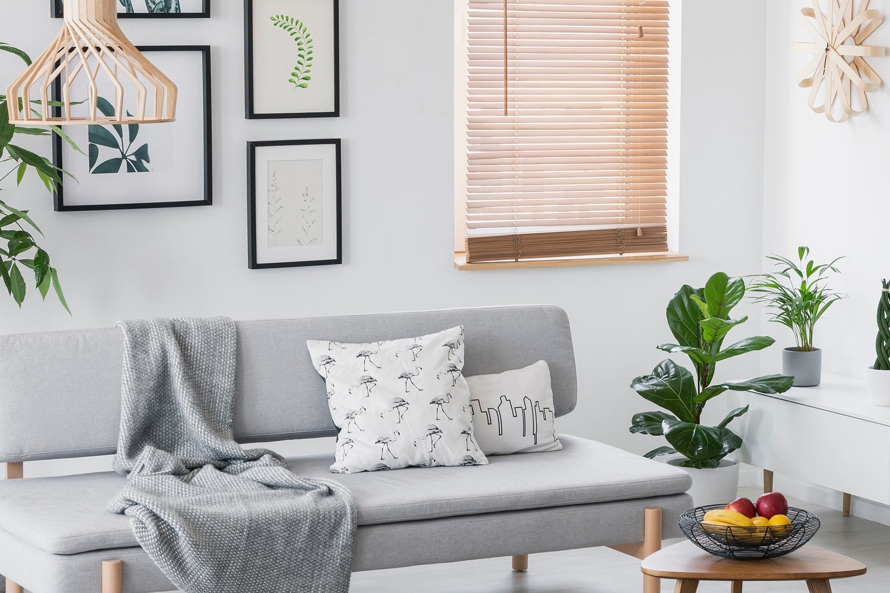 window blinds