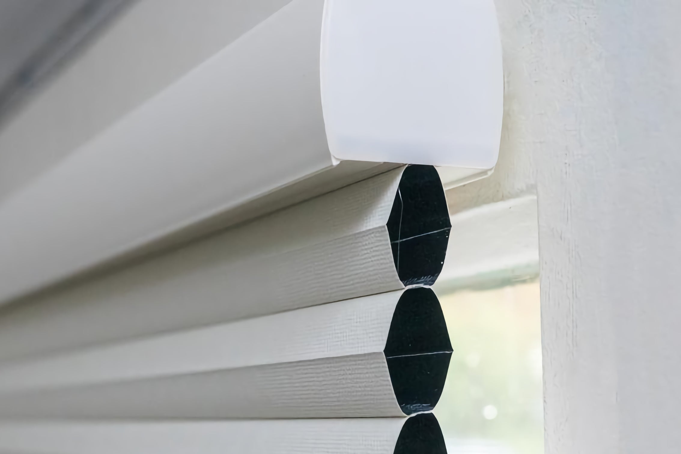 Cordless Light Filtering Cellular Shades in an Office