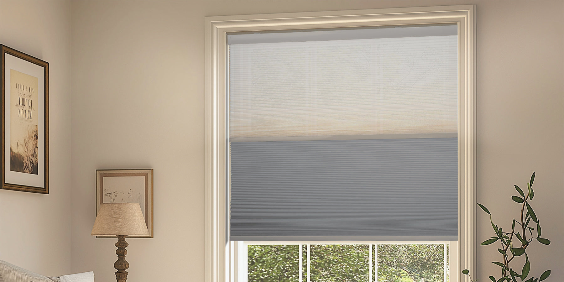 all shades and blinds