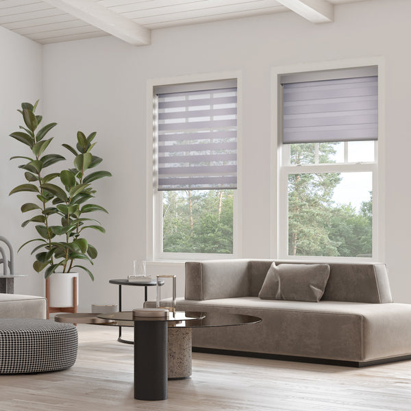 minimalist cordless ventilation blackout zebra shades in two living room windows