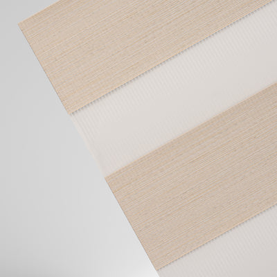 Fully-Zebra-VE-color