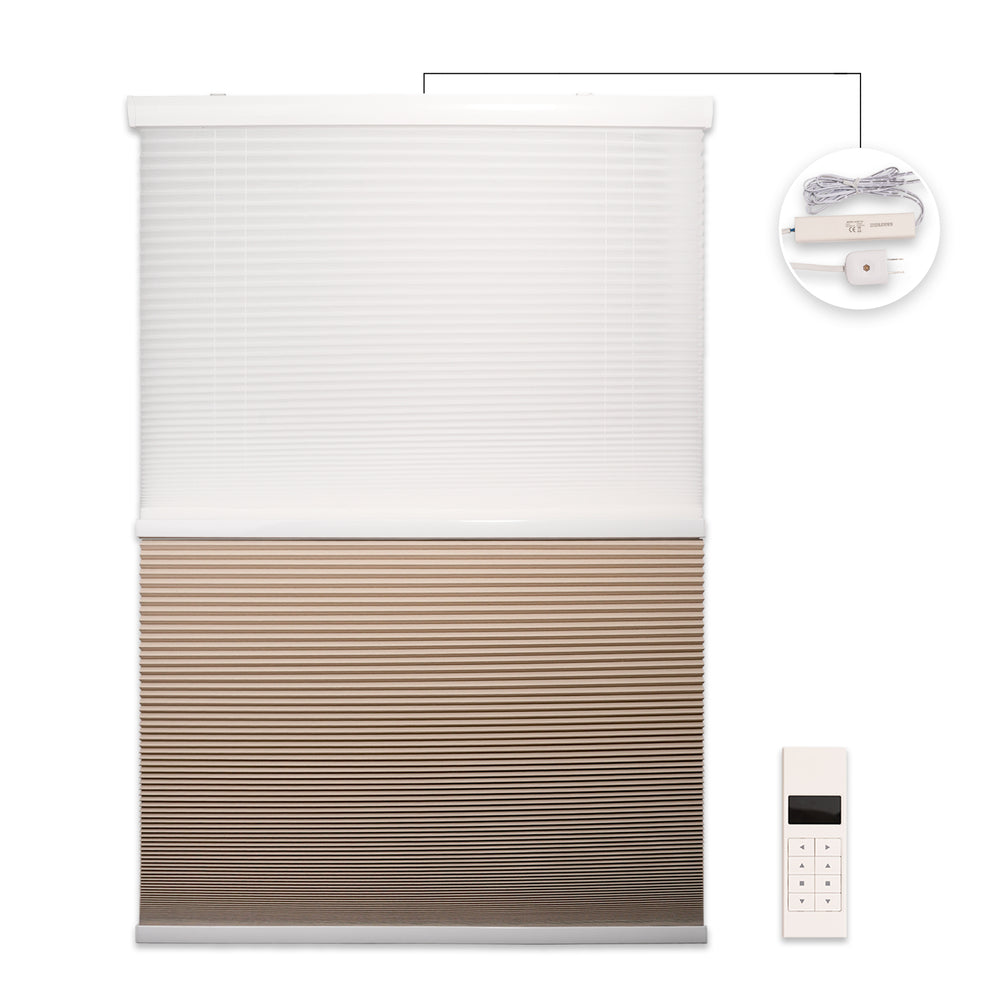 motorized day and night cellular shades in a living room