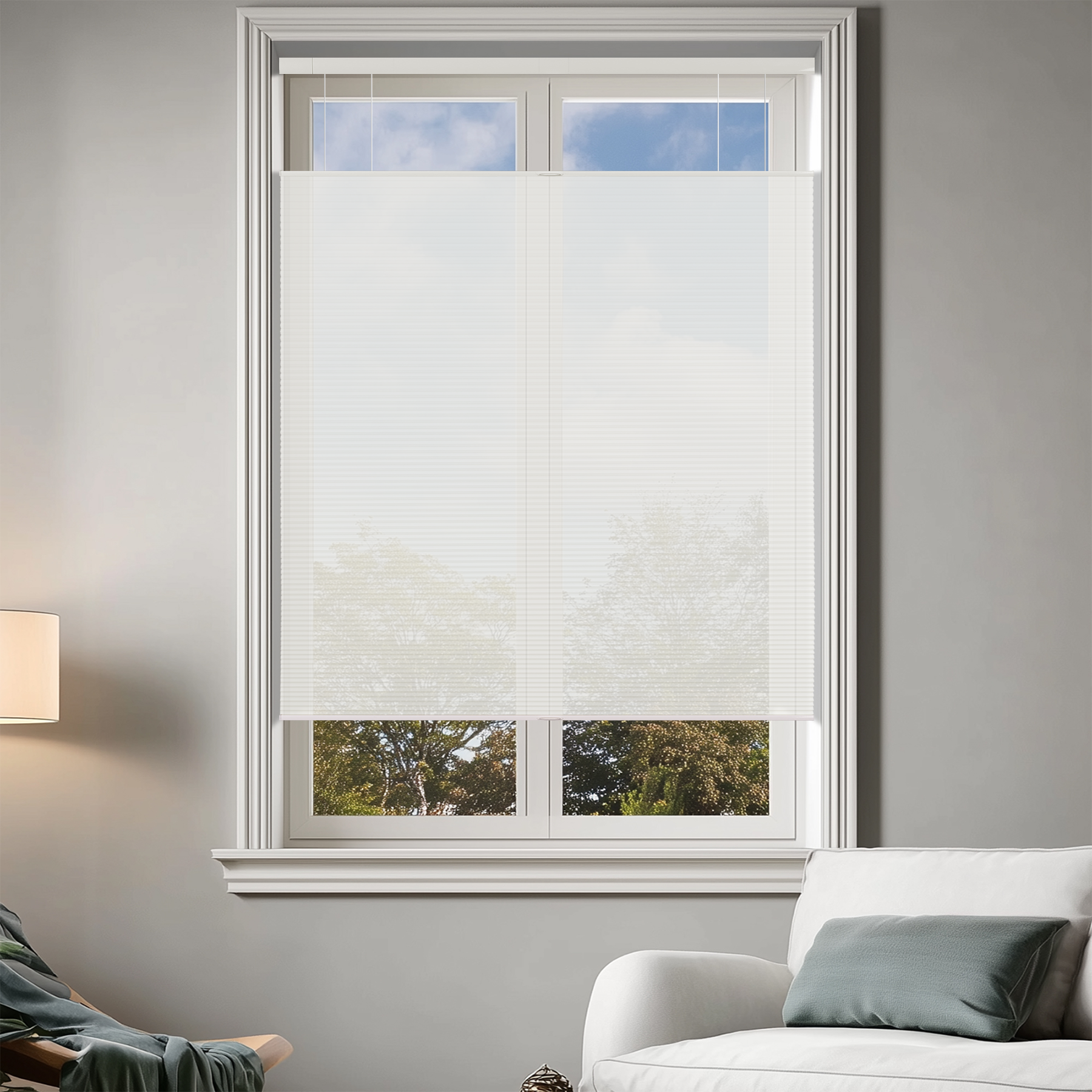 No-Drill Light Filtering Top Down Bottom Up Cellular Shades