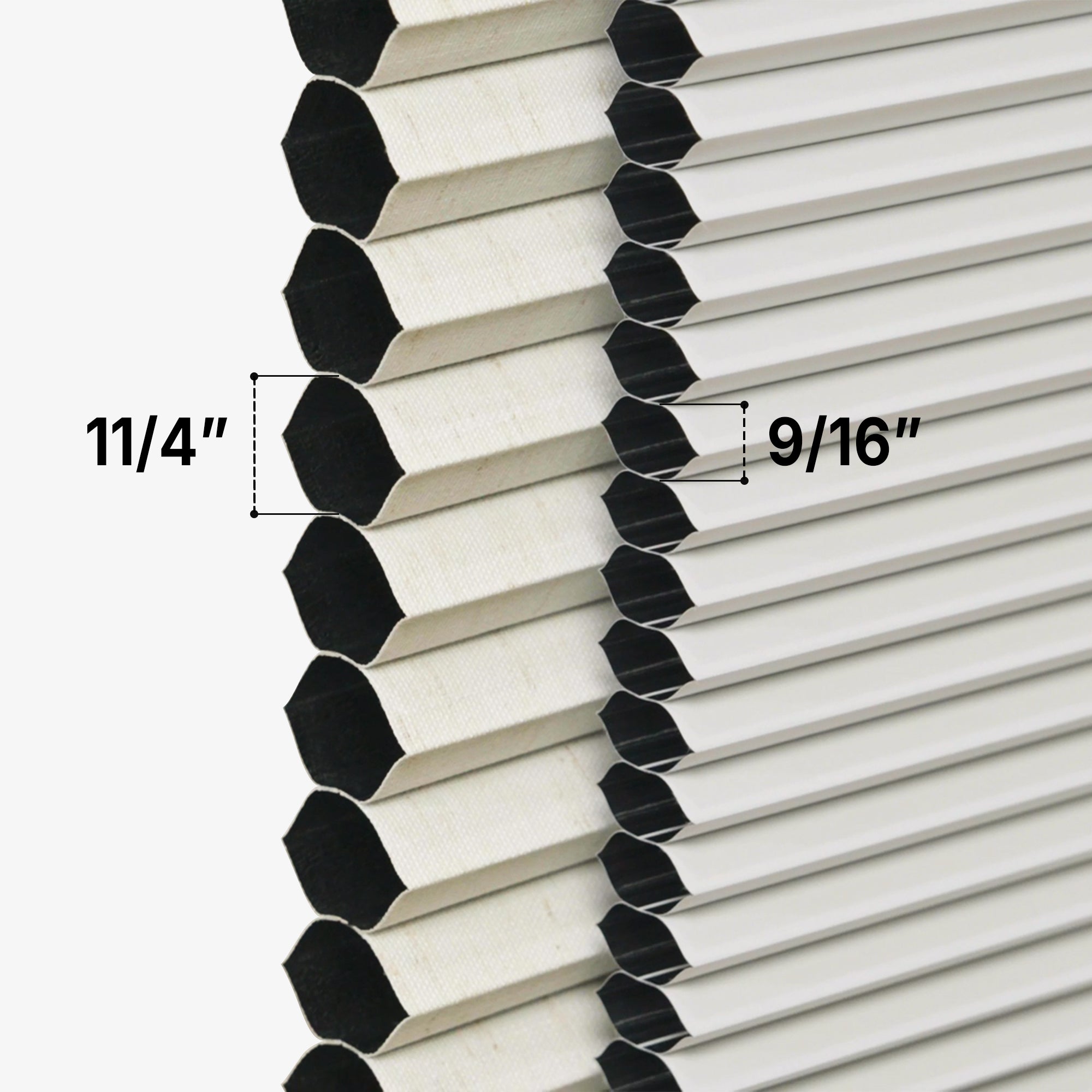 cell size comparison | hestia blinds