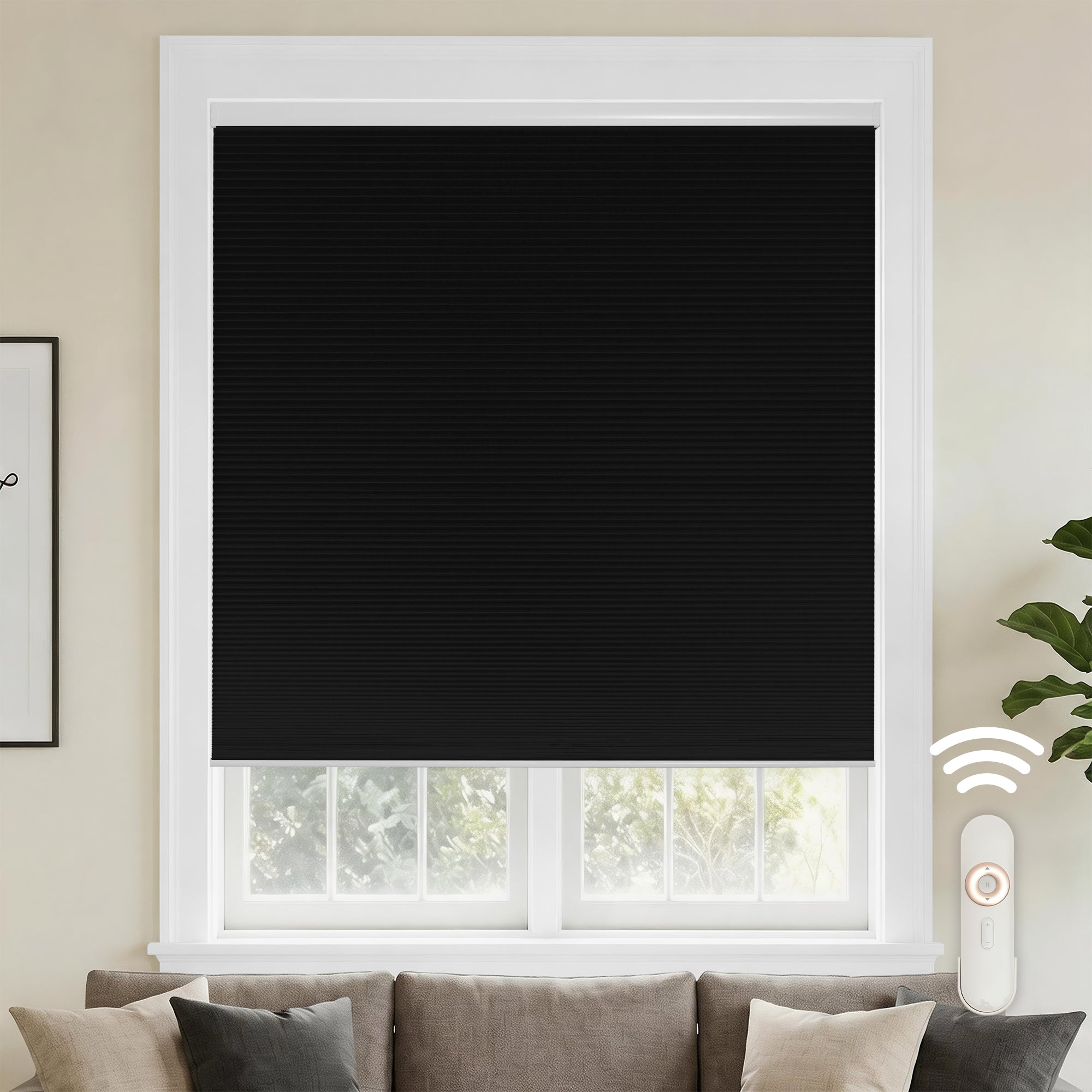 motorized cellular shades-blackout-color-stretch limo