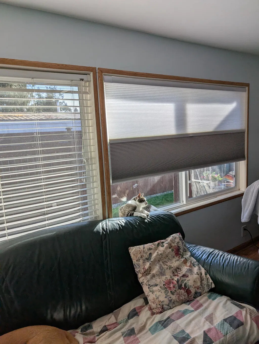 no drill day and night cellular shades | hestia blinds
